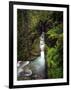 Sunrift Gorge on Baring Creek in Glacier National Park, Montana, USA-Chuck Haney-Framed Photographic Print