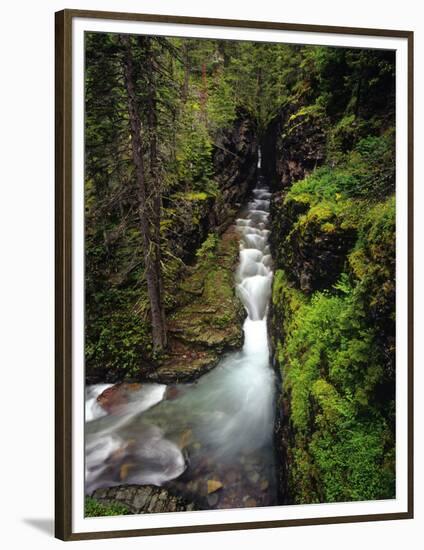 Sunrift Gorge on Baring Creek in Glacier National Park, Montana, USA-Chuck Haney-Framed Photographic Print