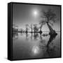 Sunrise 2-Moises Levy-Framed Stretched Canvas