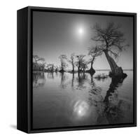 Sunrise 2-Moises Levy-Framed Stretched Canvas