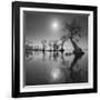 Sunrise 2-Moises Levy-Framed Photographic Print