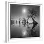 Sunrise 2-Moises Levy-Framed Photographic Print