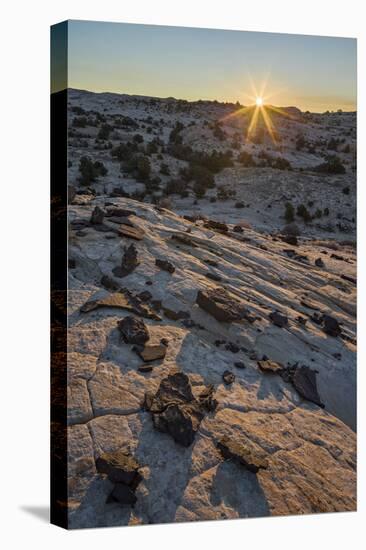 Sunrise Above Navajo Sandstone and Lava Chunks-James Hager-Stretched Canvas