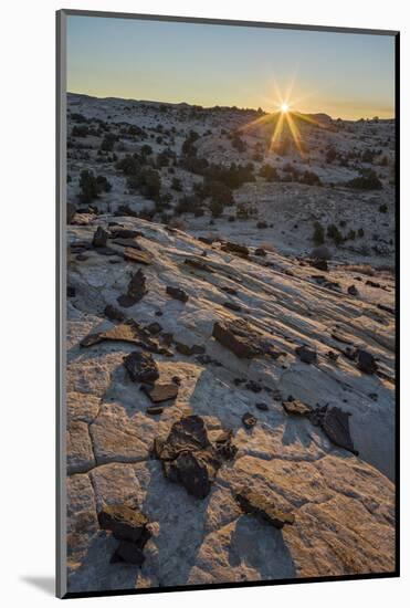 Sunrise Above Navajo Sandstone and Lava Chunks-James Hager-Mounted Photographic Print