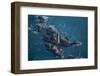 Sunrise Aerials of Boston and New England-Joseph Sohm-Framed Photographic Print