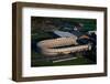 Sunrise Aerials of Soldiers Field, Harvard in Cambridge-Joseph Sohm-Framed Photographic Print