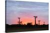 Sunrise, Allee de Baobab (Adansonia), western area, Madagascar, Africa-Christian Kober-Stretched Canvas