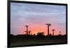 Sunrise, Allee de Baobab (Adansonia), western area, Madagascar, Africa-Christian Kober-Framed Photographic Print