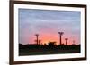 Sunrise, Allee de Baobab (Adansonia), western area, Madagascar, Africa-Christian Kober-Framed Photographic Print