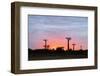 Sunrise, Allee de Baobab (Adansonia), western area, Madagascar, Africa-Christian Kober-Framed Photographic Print