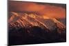 Sunrise and Alpenglow, Seaward Kaikoura Ranges, Kaikoura, New Zealand-David Wall-Mounted Photographic Print