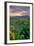 Sunrise and Flower Field, Columbia River Gorge, Oregon-Vincent James-Framed Photographic Print