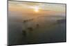 Sunrise and fog, Marion County, Illinois-Richard & Susan Day-Mounted Photographic Print