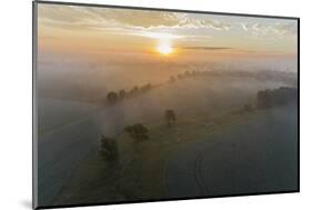 Sunrise and fog, Marion County, Illinois-Richard & Susan Day-Mounted Photographic Print