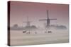 Sunrise and Morning Fog with Silhouetted Windmills and Horses in Field Kinderdijk, Netherlands-Darrell Gulin-Stretched Canvas