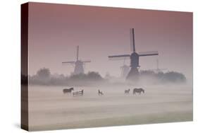 Sunrise and Morning Fog with Silhouetted Windmills and Horses in Field Kinderdijk, Netherlands-Darrell Gulin-Stretched Canvas