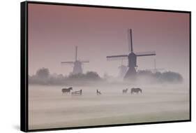 Sunrise and Morning Fog with Silhouetted Windmills and Horses in Field Kinderdijk, Netherlands-Darrell Gulin-Framed Stretched Canvas