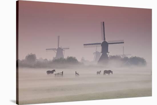 Sunrise and Morning Fog with Silhouetted Windmills and Horses in Field Kinderdijk, Netherlands-Darrell Gulin-Stretched Canvas