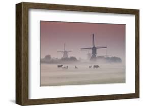 Sunrise and Morning Fog with Silhouetted Windmills and Horses in Field Kinderdijk, Netherlands-Darrell Gulin-Framed Photographic Print