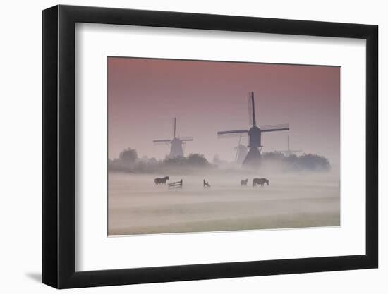 Sunrise and Morning Fog with Silhouetted Windmills and Horses in Field Kinderdijk, Netherlands-Darrell Gulin-Framed Photographic Print