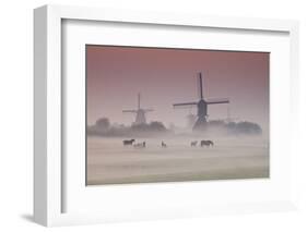 Sunrise and Morning Fog with Silhouetted Windmills and Horses in Field Kinderdijk, Netherlands-Darrell Gulin-Framed Photographic Print