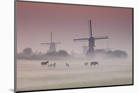 Sunrise and Morning Fog with Silhouetted Windmills and Horses in Field Kinderdijk, Netherlands-Darrell Gulin-Mounted Photographic Print