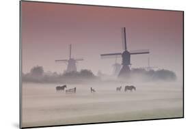 Sunrise and Morning Fog with Silhouetted Windmills and Horses in Field Kinderdijk, Netherlands-Darrell Gulin-Mounted Photographic Print