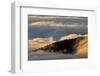 Sunrise and Mountain Mist, North Carolina-Adam Jones-Framed Photographic Print