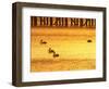 Sunrise and Pelicans by Urangan Pier, Hervey Bay, Queensland, Australia-David Wall-Framed Photographic Print