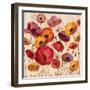 Sunrise Anemones-Silvia Vassileva-Framed Art Print