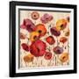 Sunrise Anemones-Silvia Vassileva-Framed Premium Giclee Print