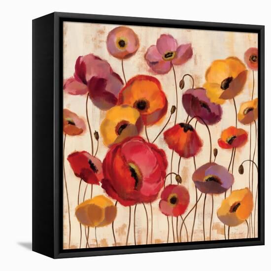 Sunrise Anemones-Silvia Vassileva-Framed Stretched Canvas