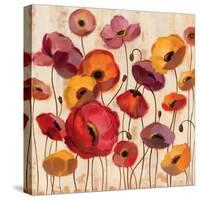 Sunrise Anemones-Silvia Vassileva-Stretched Canvas