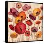 Sunrise Anemones-Silvia Vassileva-Framed Stretched Canvas