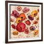 Sunrise Anemones-Silvia Vassileva-Framed Art Print