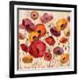 Sunrise Anemones-Silvia Vassileva-Framed Art Print