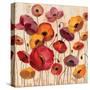 Sunrise Anemones-Silvia Vassileva-Stretched Canvas