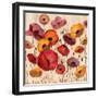 Sunrise Anemones-Silvia Vassileva-Framed Premium Giclee Print