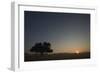 Sunrise as Seen from the Camp Site at Sesriem-null-Framed Photographic Print