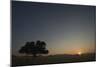 Sunrise as Seen from the Camp Site at Sesriem-null-Mounted Photographic Print