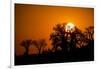 Sunrise at Baines Baobabs, Nxai Pan National Park, Botswana-Paul Souders-Framed Photographic Print