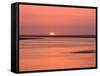 Sunrise at bay of Mont Saint-Michel, Brittany, France-null-Framed Stretched Canvas