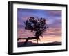 Sunrise at Bryce Canyon National Park, Utah, USA-Tom Norring-Framed Photographic Print