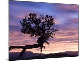 Sunrise at Bryce Canyon National Park, Utah, USA-Tom Norring-Mounted Photographic Print