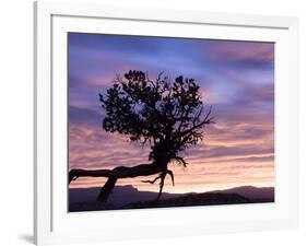 Sunrise at Bryce Canyon National Park, Utah, USA-Tom Norring-Framed Photographic Print