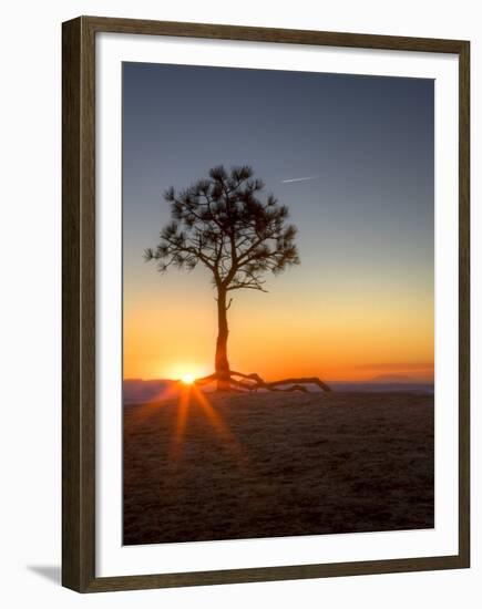 Sunrise at Bryce Canyon National Park, Utah, USA-Tom Norring-Framed Premium Photographic Print