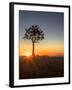 Sunrise at Bryce Canyon National Park, Utah, USA-Tom Norring-Framed Premium Photographic Print