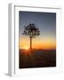 Sunrise at Bryce Canyon National Park, Utah, USA-Tom Norring-Framed Photographic Print