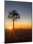 Sunrise at Bryce Canyon National Park, Utah, USA-Tom Norring-Mounted Photographic Print