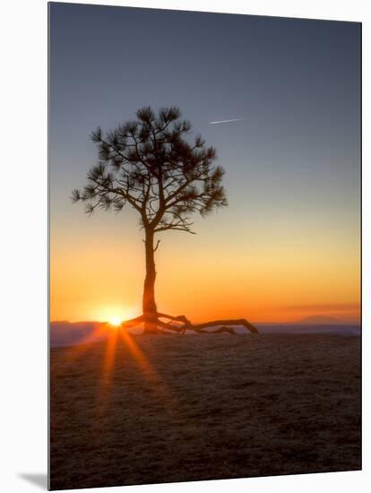 Sunrise at Bryce Canyon National Park, Utah, USA-Tom Norring-Mounted Photographic Print